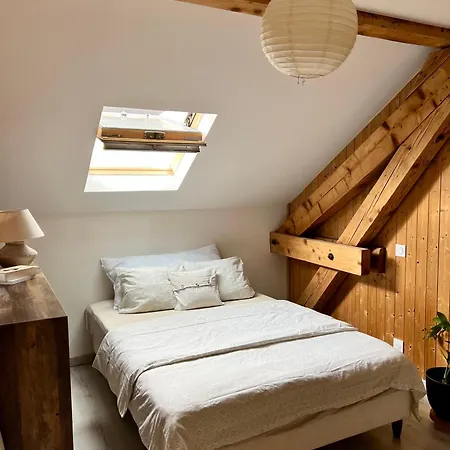 Duplex Montblanc - Suite, Centre & Parking By Alpenlysallanches Apartment